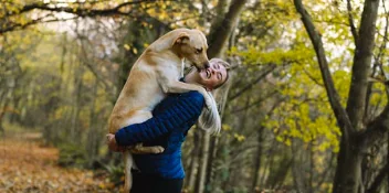 Cane rubato a Bologna e ritrovato grazie ai social